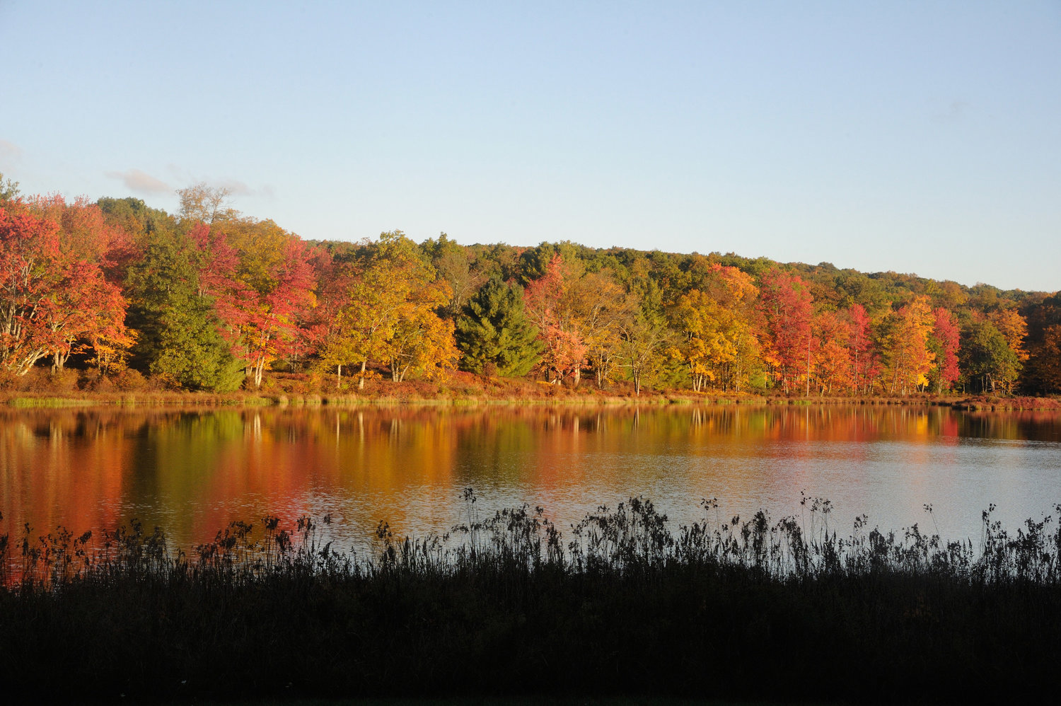 Lily Pond, near Milford, is mostly deciduous forest near the shoreline of the lake, and the light of dawn accentuates the already-rich colors of the fall foliage here. Sunlight travels through much more atmosphere during sunrise and sunset; this light is more towards the red part of the spectrum.